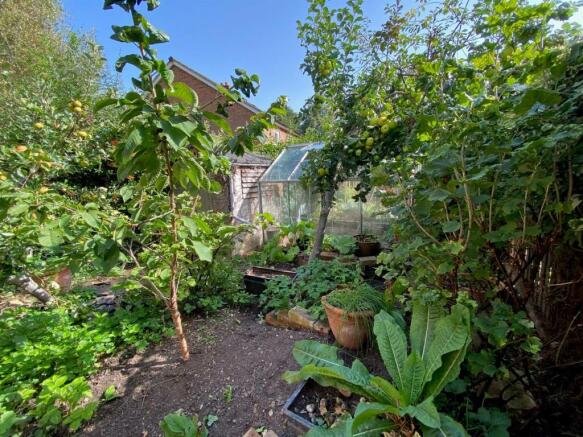 Garden.jpg