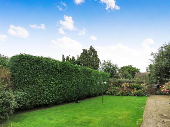 Garden 2.JPG