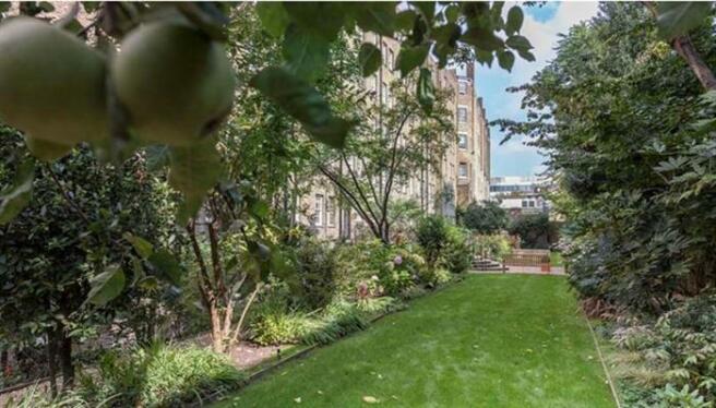 Communal Gardens