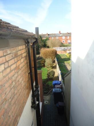 Back Garden