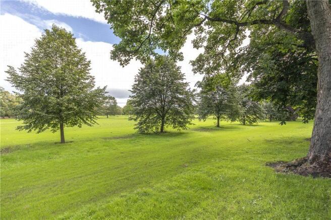 Attractive Setting