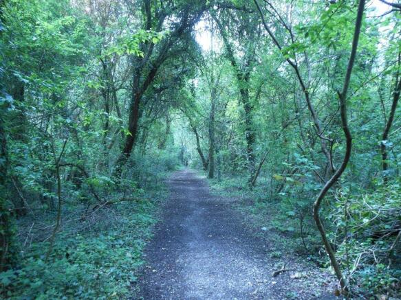 Nearby woodland