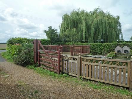 Photo 10