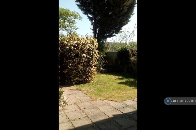 Back Garden