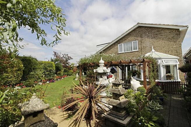 garden 5.jpg