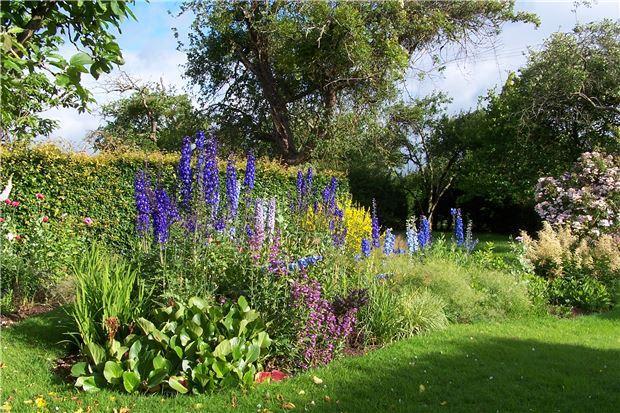Garden in Bloom