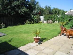Garden 2