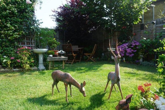 Rear garden
