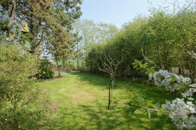 DSC01457.JPG