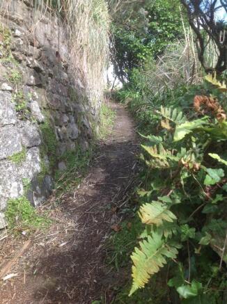 Pathway