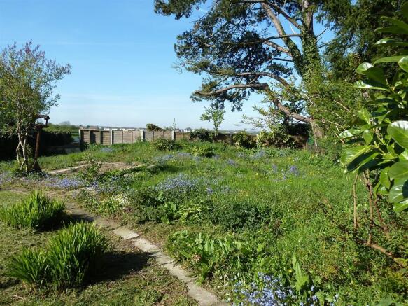 Wildlife Garden