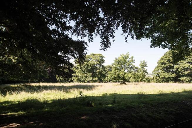 MILLENNIUM GREEN