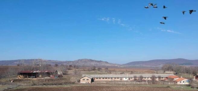 View of the long farm building and open farmland with hills in the distance and birds flying overhead.