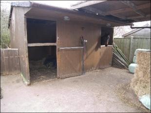 TWIN STABLE