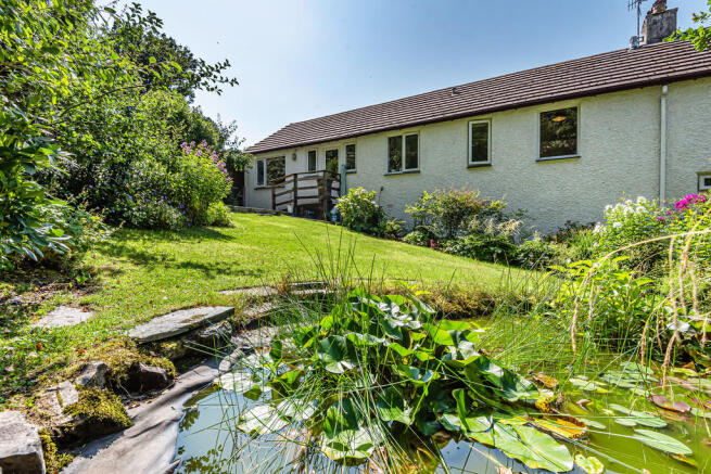 Pond and Garden
