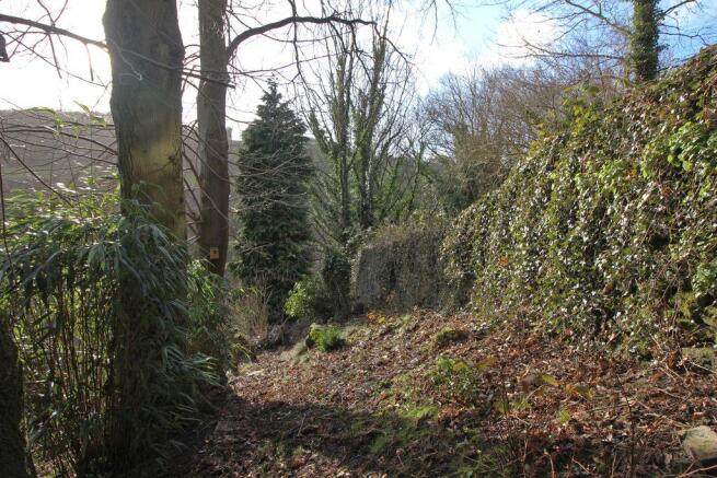 Garden at Back