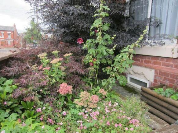 Front garden