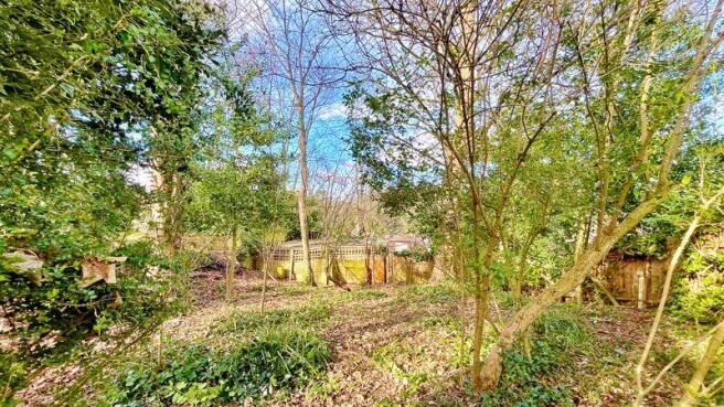 bottom of garden