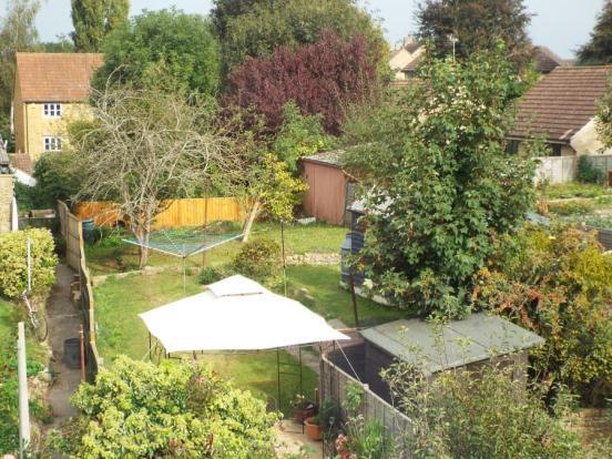 View Of Garden