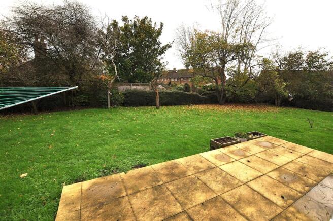 Garden.JPG