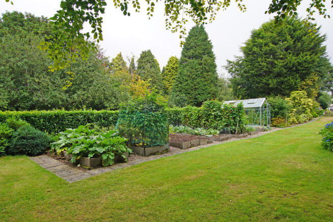 Vegetable Garden