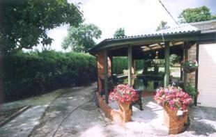 The Fish Pond