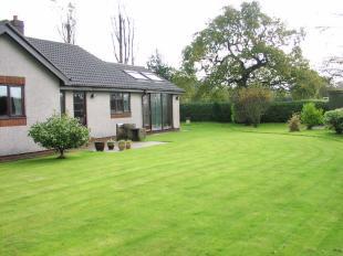 Garden 3