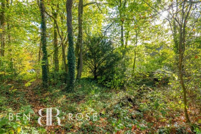 Woodland