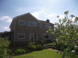 Rear Elevation