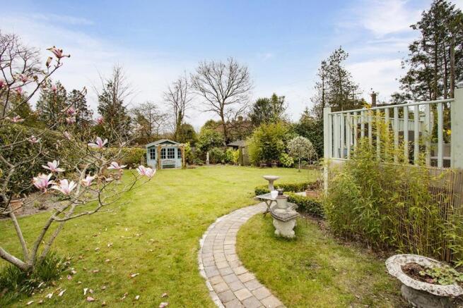 garden.jpg