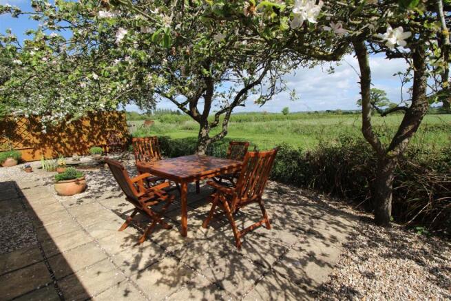 Sun Terrace Views