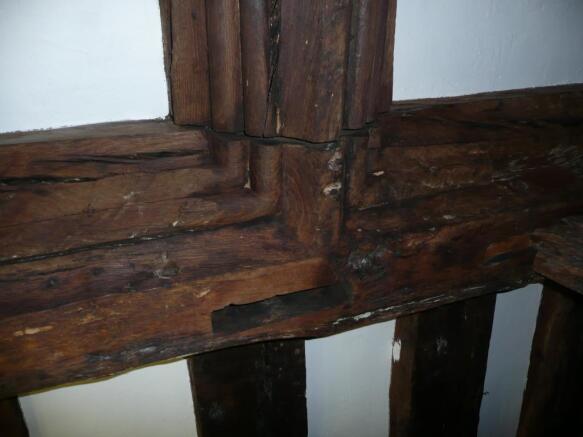 Image 12