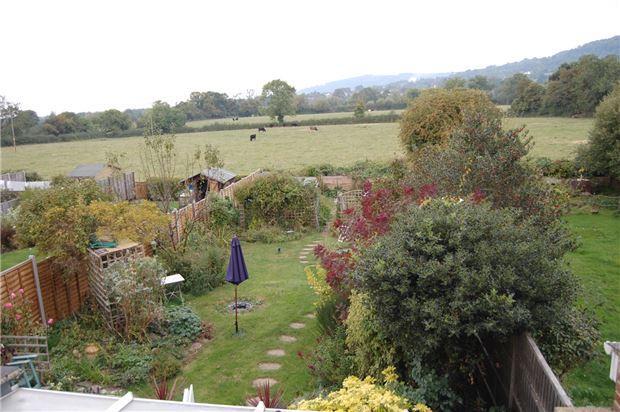 Garden / View
