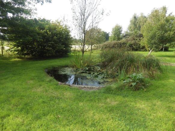 Wildlife Pond