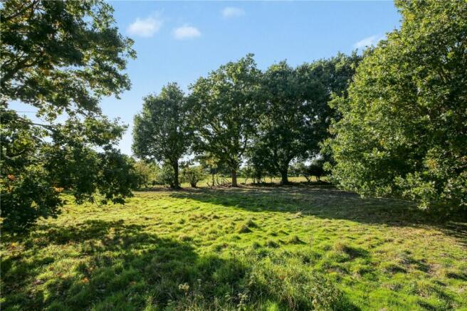 Sunnyside, Woodton, Bungay, Norfolk, NR35 photo 4