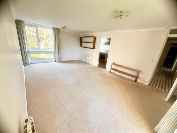 processed-8105A0F6-7133-4BC1-B15E-D5CC1AC7EDA1.jpe