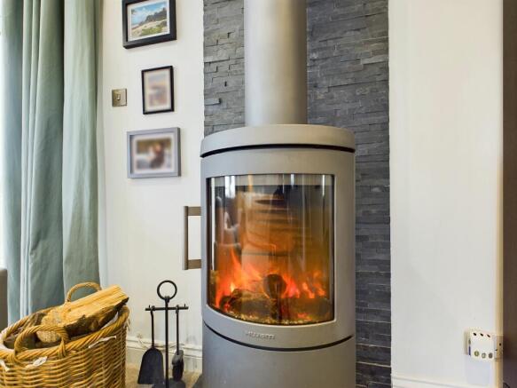 Multi Fuel Stove