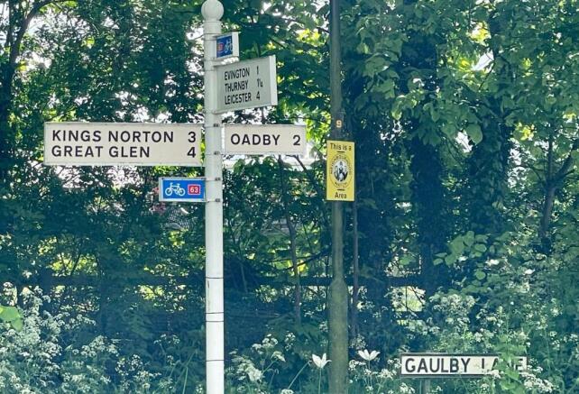 signs.jpg