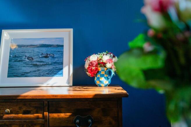 Award-winning Media team on EVERY Listing_6