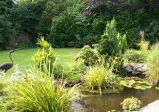 Photo 9