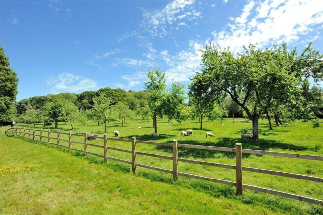 Orchard