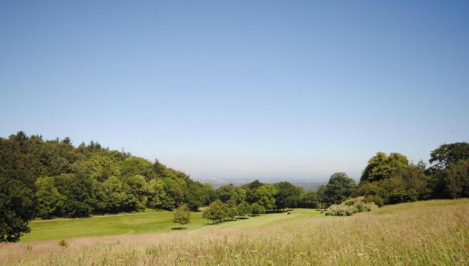 Golf Course
