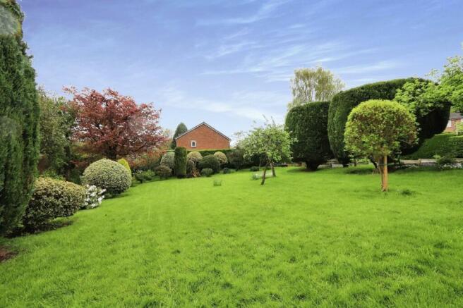 BOTTOM GARDEN