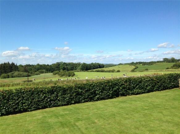 View From Garden
