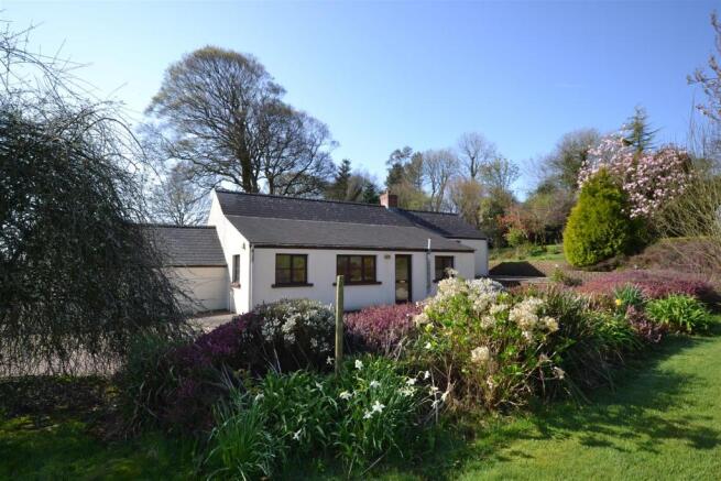 THE REAR GARDEN