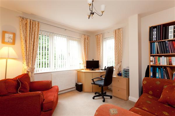 STUDY / SNUG