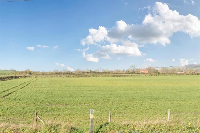 View To The Front.jpg