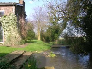 Stream