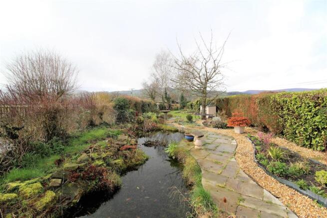 Garden  Pond.JPG