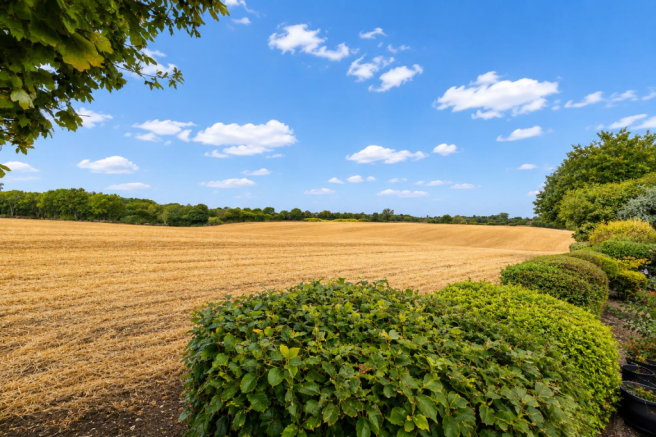 Countryside.png